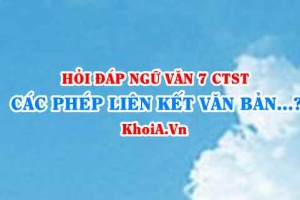 Các phép liên kết trong văn bản? Ngữ Văn lớp 7 CTST